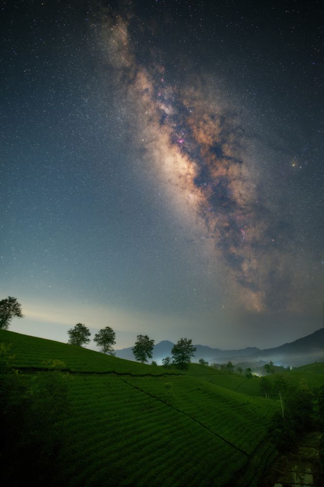 Photograph by Duy Chris