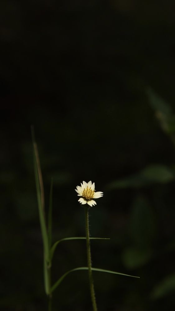 Photograph by Aryaman Dhiman