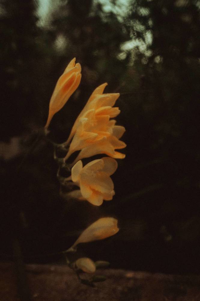 Photograph by Fábio Martins