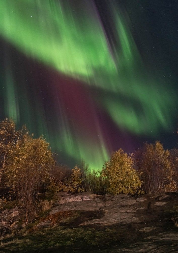 Полыхала осень