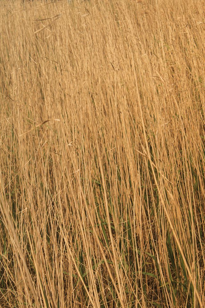 Photograph by Fábio Martins