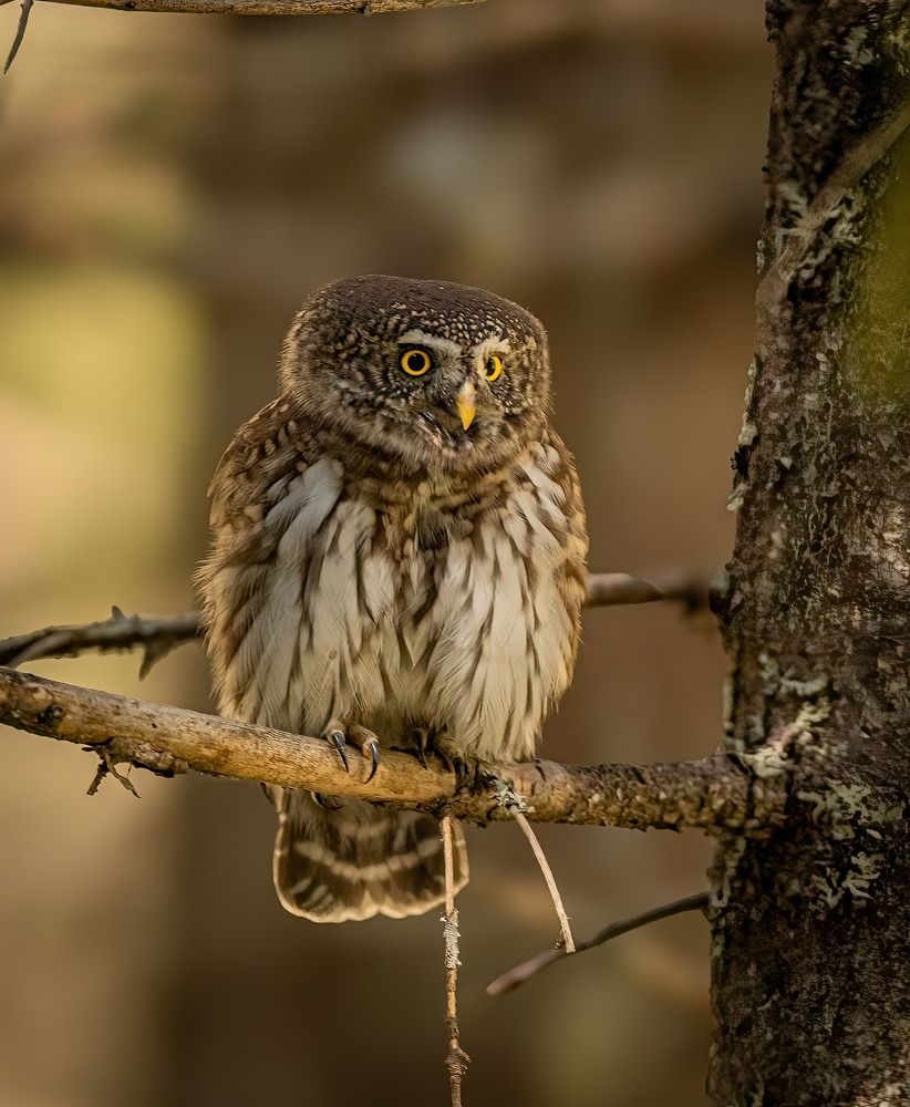 Photograph by Nikolay Stoyanov