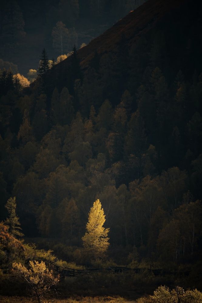 Photograph by Andrey Labutin