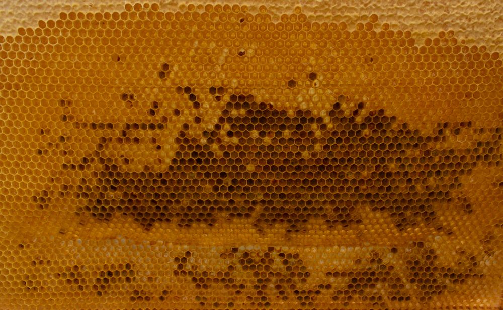 Photograph by Анна Масленникова-Бриль