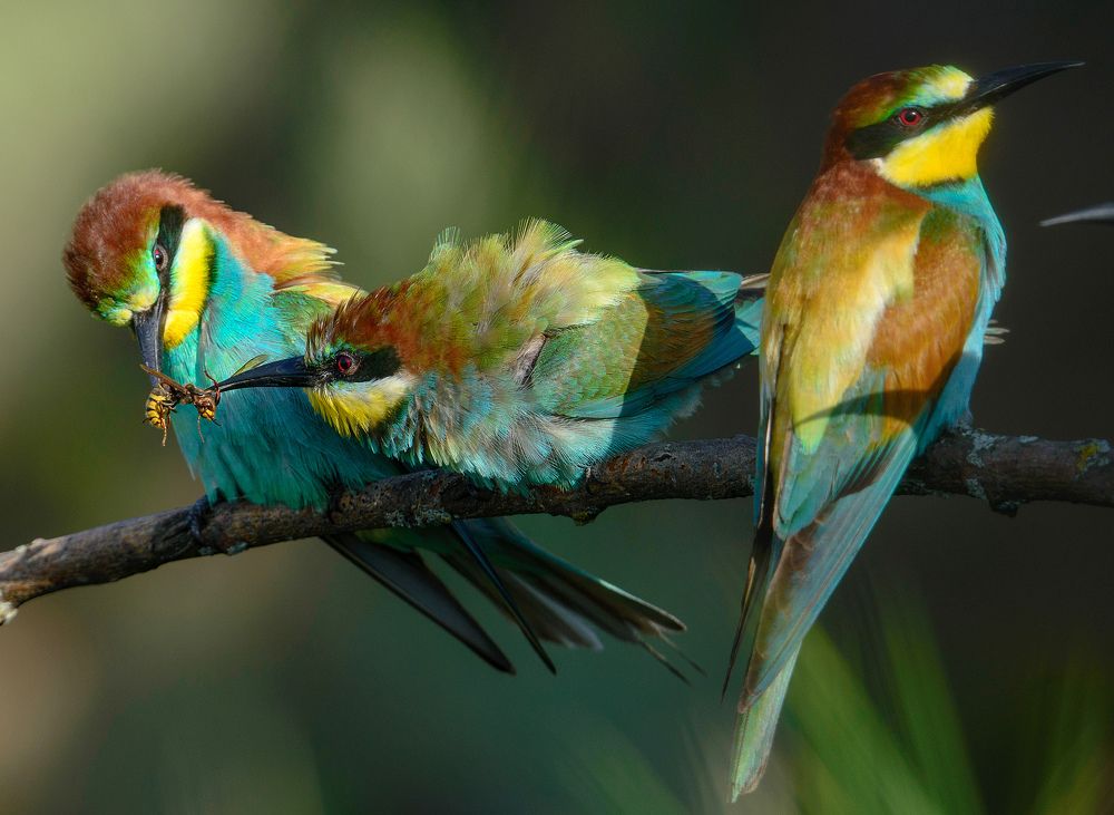 Photograph by Елена Быкова