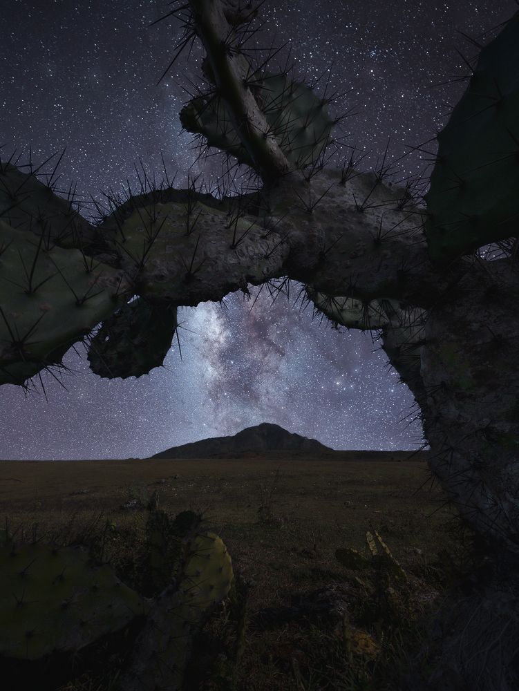 Photograph by Gary Bhaztara