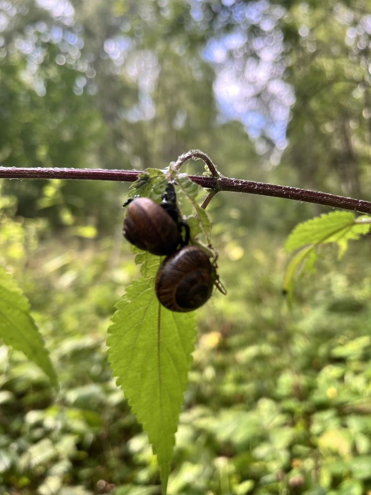 Photograph by Евгения Лазарева