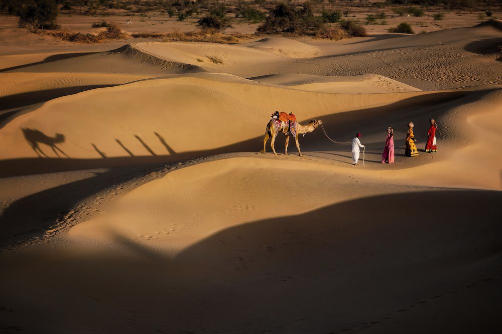 Фотография автора Henri Fitriadi