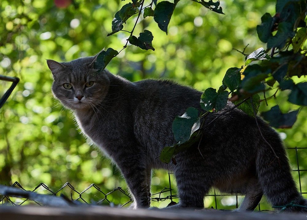 Photograph by Алексей Швецов