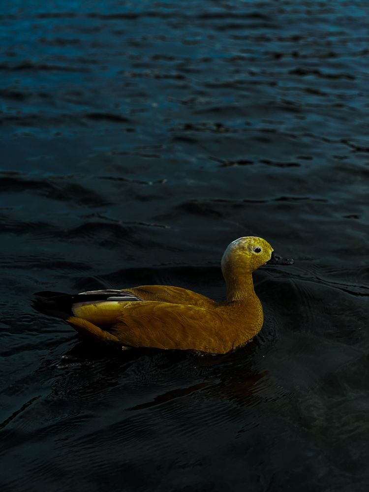 Photograph by Мария