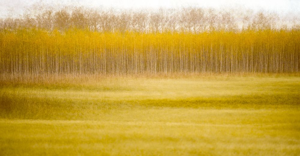 Photograph by Евгения Севрюкова