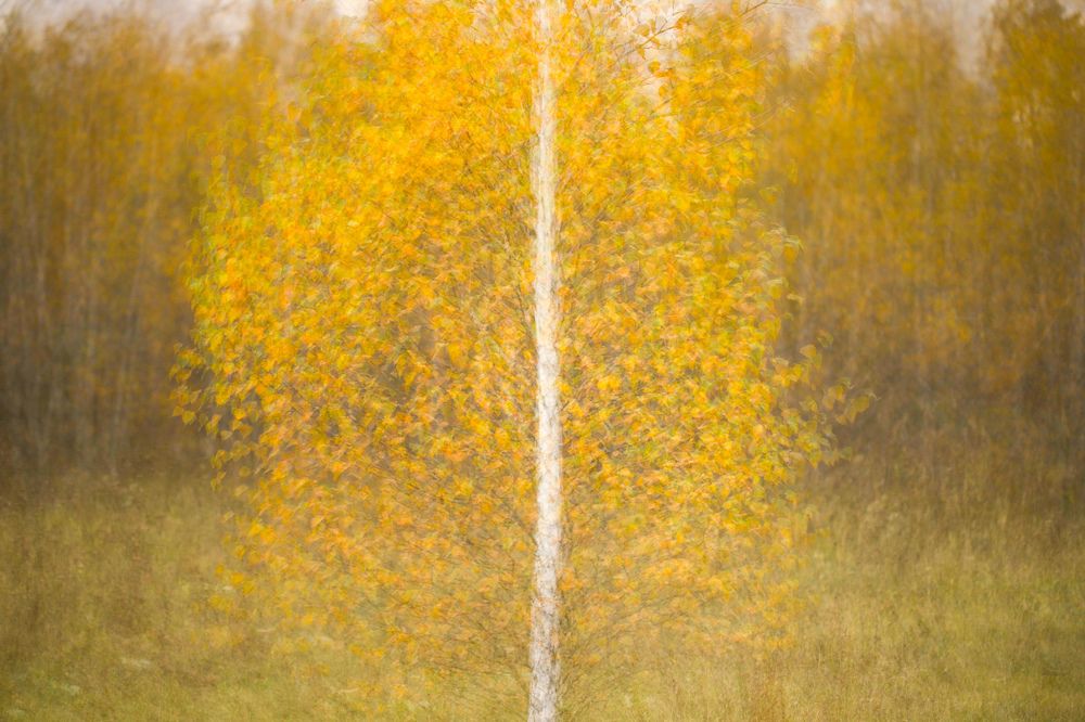 Photograph by Евгения Севрюкова