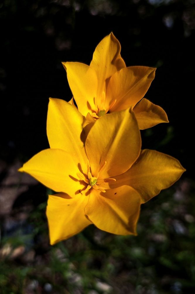 Photograph by Анна Курлова