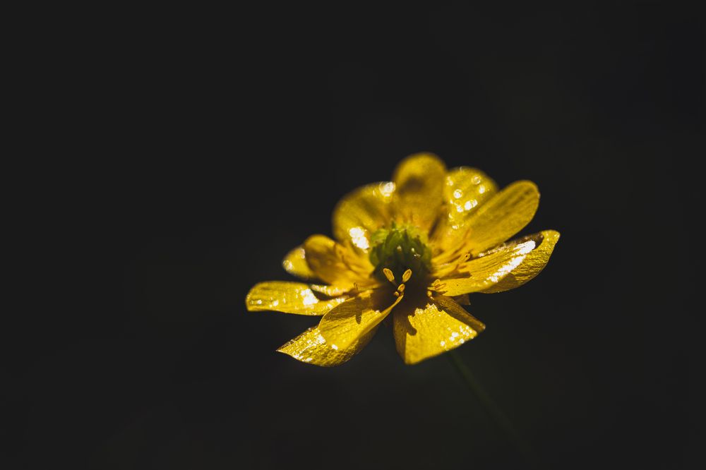 Фотография автора Ирина Гриценко