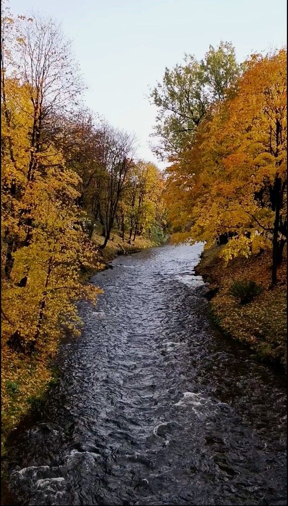 Photograph by Татьяна Яцкевич