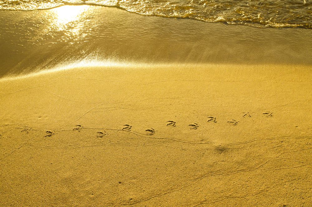 Photograph by Евгения Севрюкова