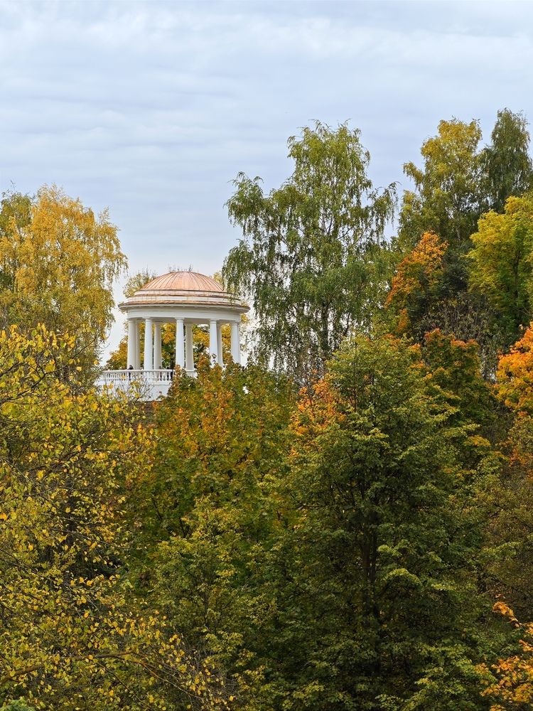 Photograph by Надежда Кангина