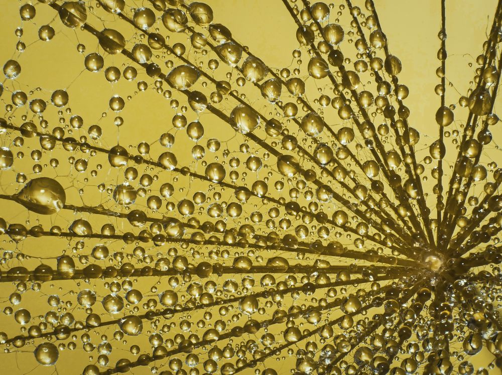 Photograph by Davide Poletto