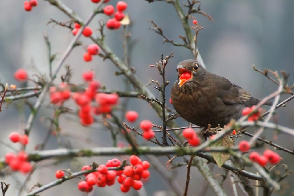 Фотография автора Aleksej Musatov