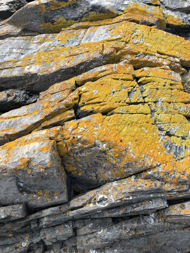 Photograph by Мария Бессмертная