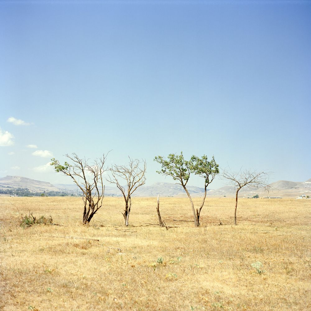 Photograph by Роман Поленин