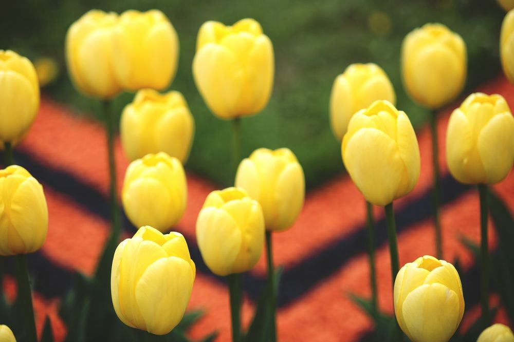 Photograph by Анна Шаповалова