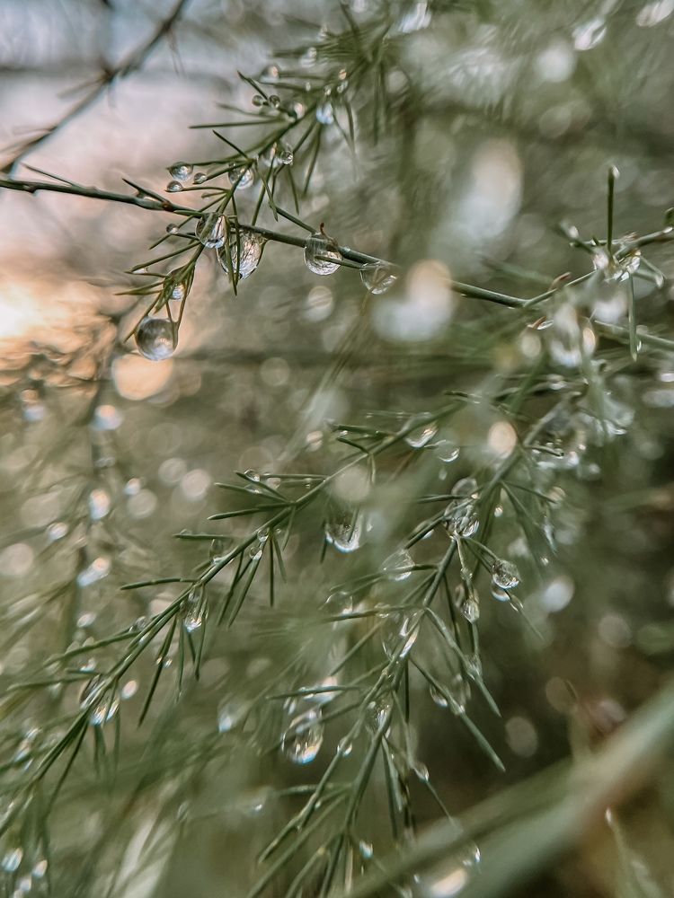 Photograph by Алиса Чугунова