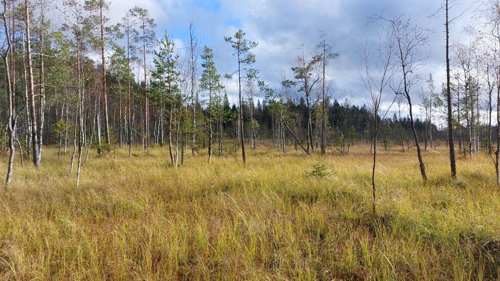 Фотография автора Максим Егоров
