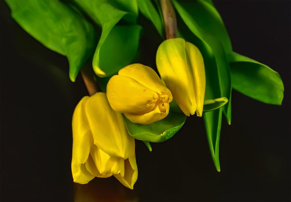 Photograph by Пушкин Сергей