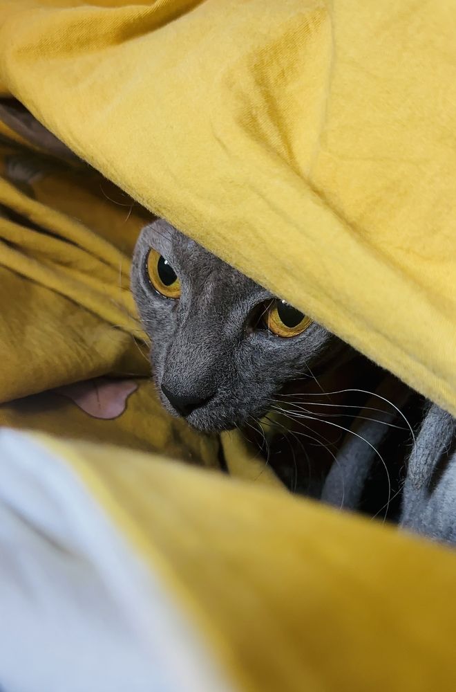 Photograph by Мария