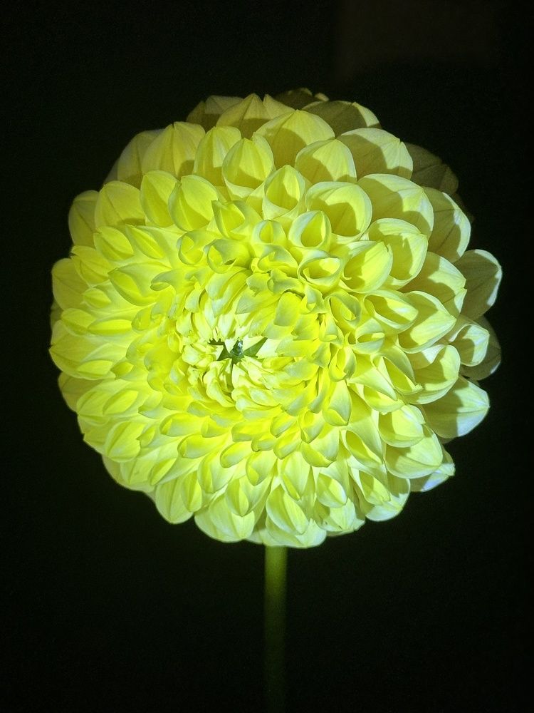 Photograph by Мария