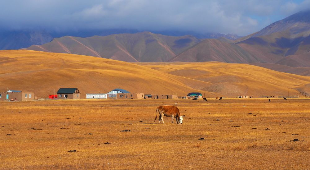 Photograph by PERESHEIN ANDREY