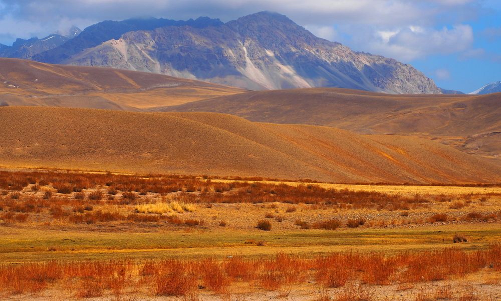 Photograph by PERESHEIN ANDREY