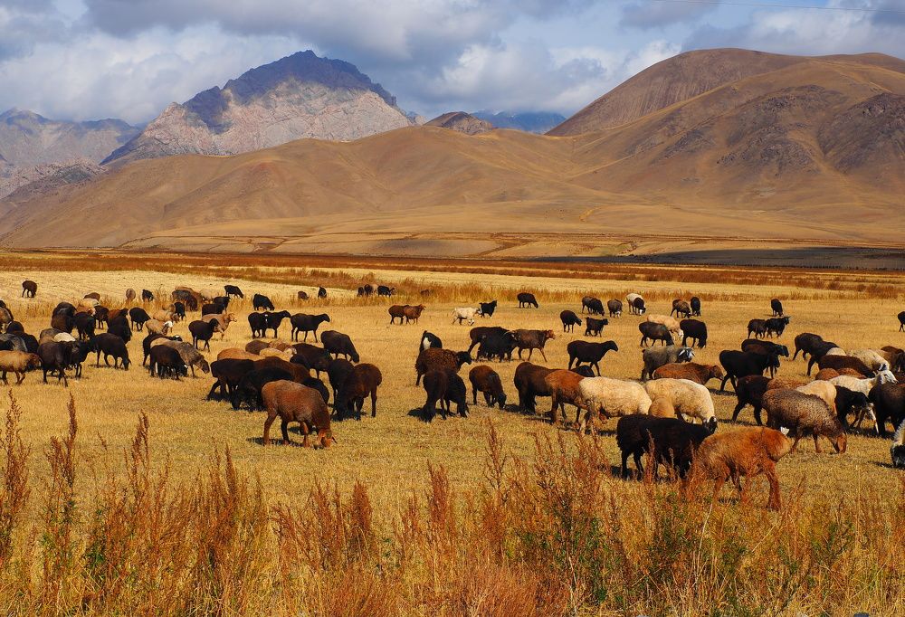 Photograph by PERESHEIN ANDREY