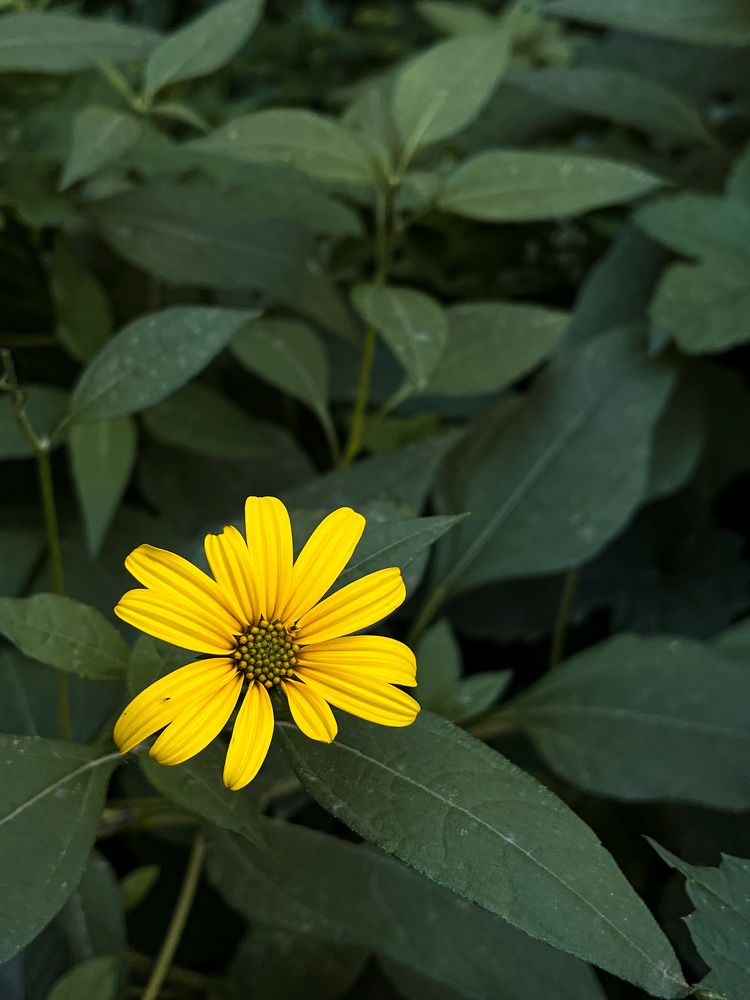 Photograph by Ekaterina