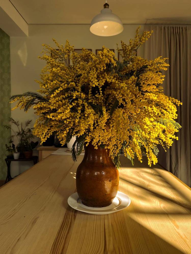 Photograph by Ekaterina