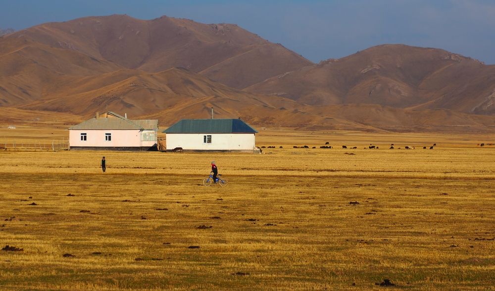 Photograph by PERESHEIN ANDREY