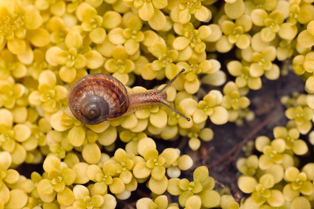 Photograph by Тараненко Анжелика