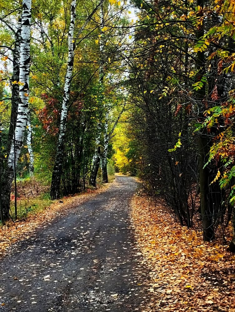 Photograph by Михаил Малец