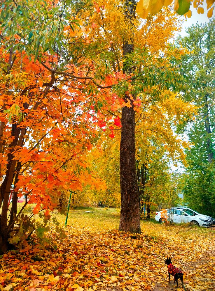 Photograph by Людмила Ваганова