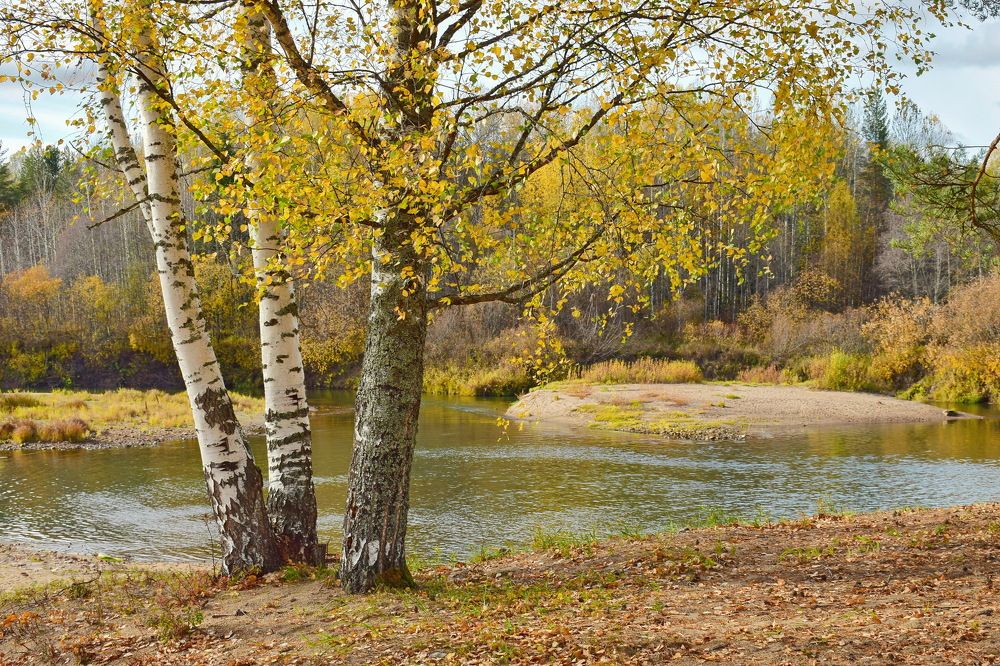 Берег октября.