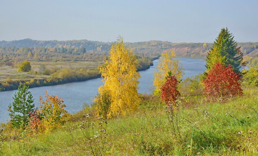 Сентябрь на реке Молома.