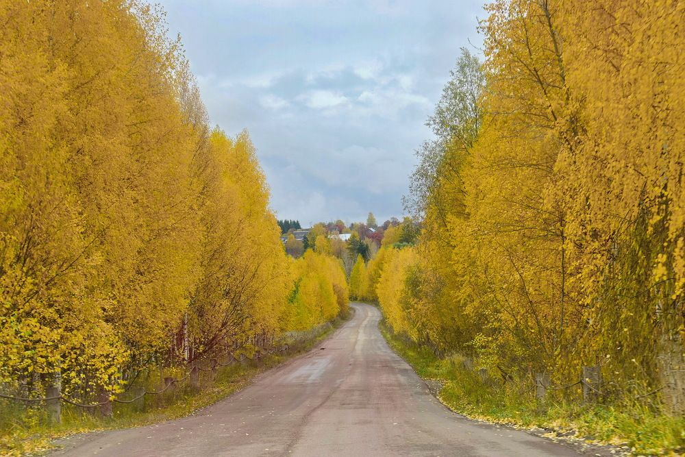 Вдоль по осени.