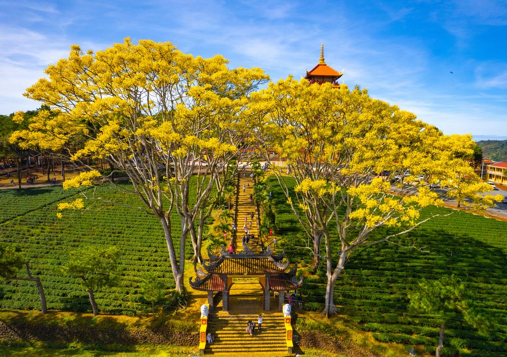 Фотография автора Pham Quynh Nga