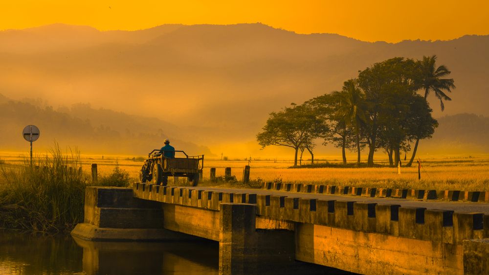 Фотография автора Pham Quynh Nga