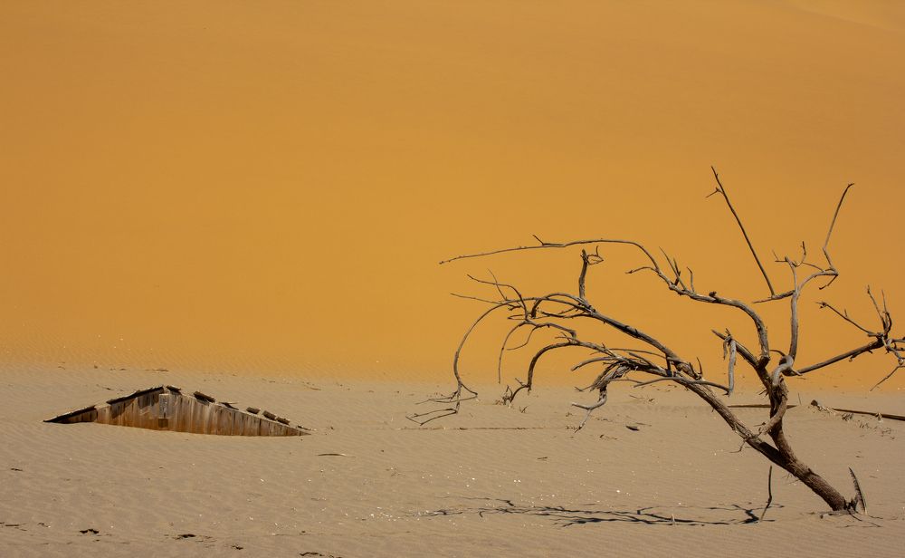 Фотография автора Mario Marco Cosulich