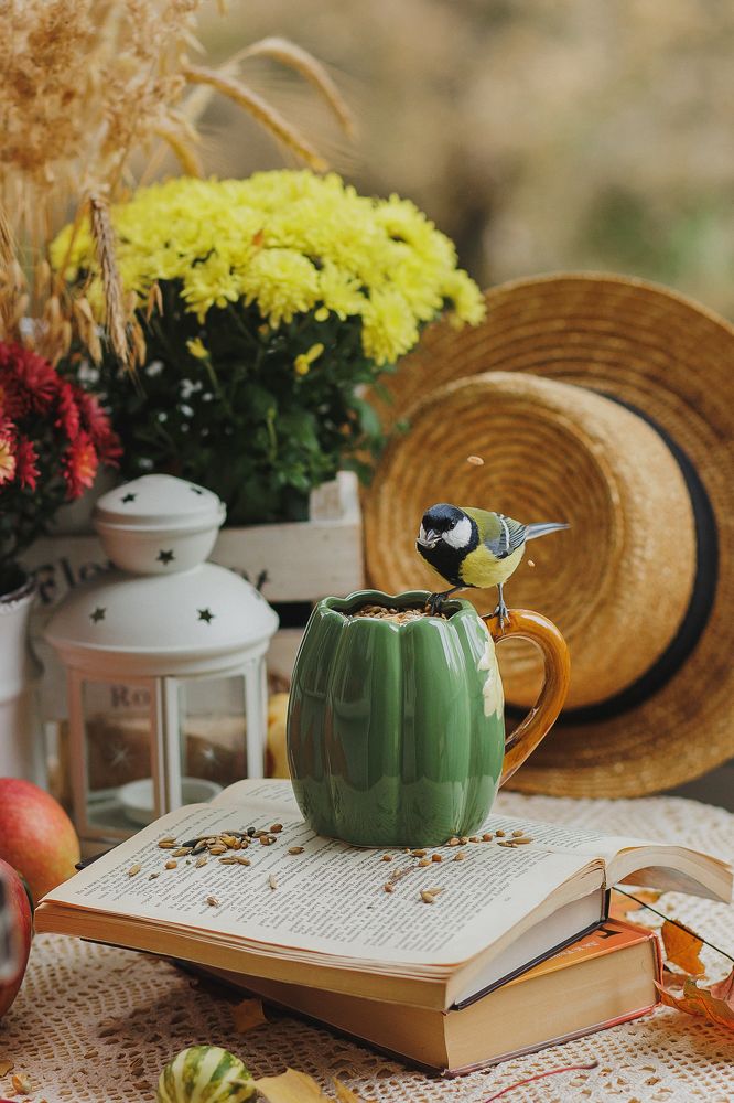 Photograph by Анна Ушакова