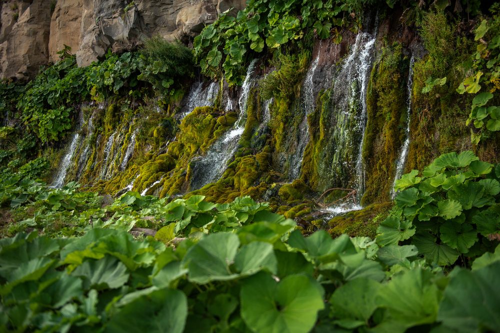 Фотография автора Александр Домнин