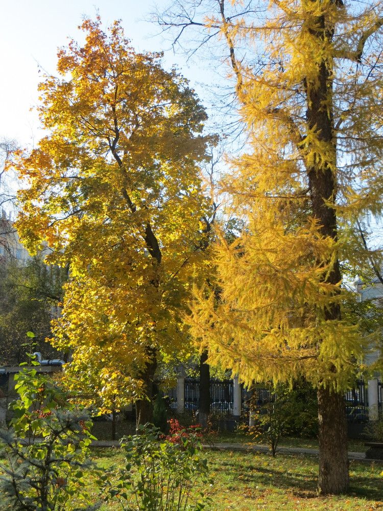 Photograph by Татьяна Поминова