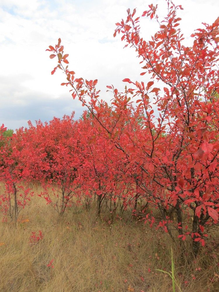 Photograph by Татьяна Поминова